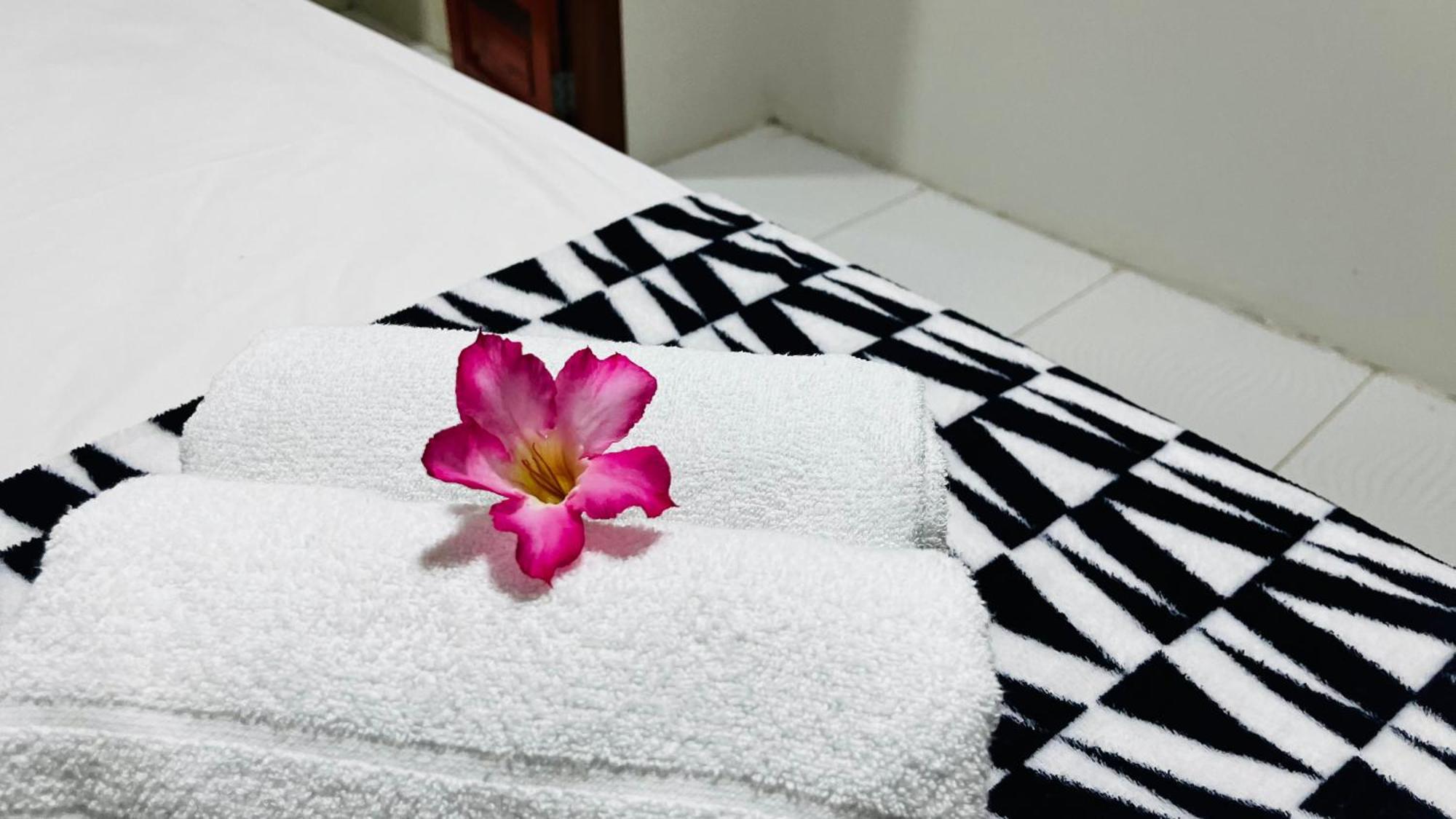 Jeri Vila Mini Hotel 日若卡-迪热里科阿科阿拉 外观 照片